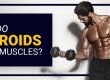 How do Steroids grow muscles? - Steroids Online Canada Blog