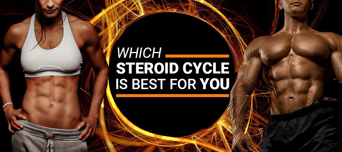 Jack Male and Female Bodybuilder - Which Steroid Cycle Is Best For You?