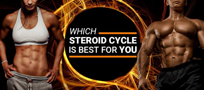 Jack Male and Female Bodybuilder - Which Steroid Cycle Is Best For You?